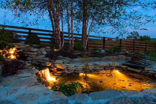 Water Features And Pool Lights | Hedgehog Electric